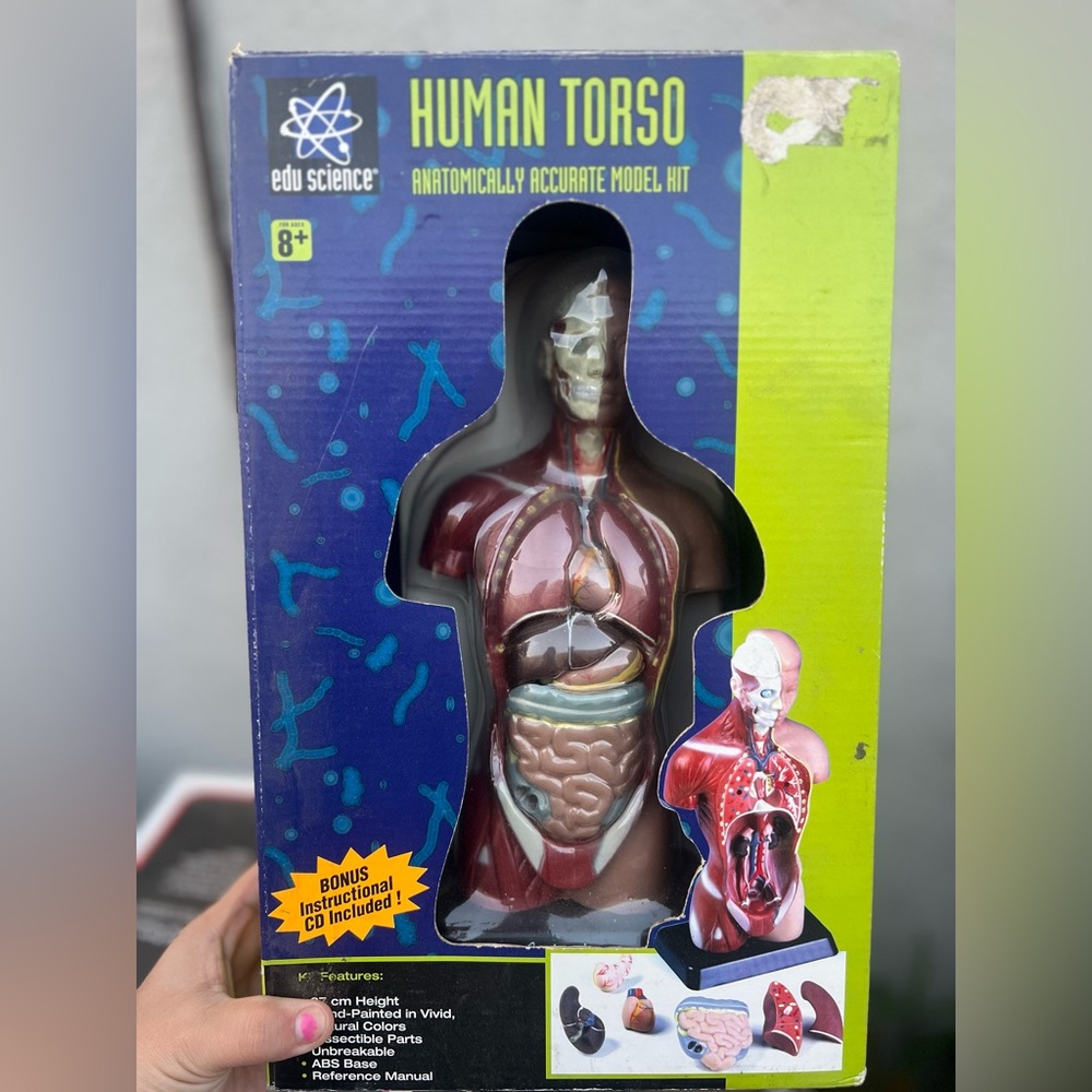Retro Edu Science Human Torso Model Kit